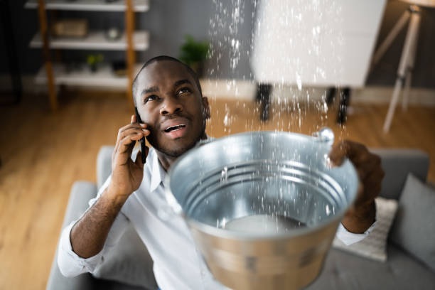 Best Water damage restoration near me  in Millis Clicquot, MA