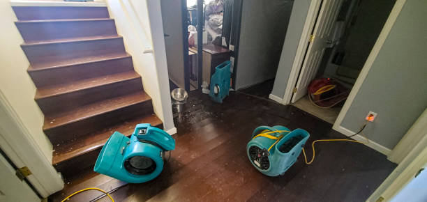 Best Residential water damage restoration  in Millis Clicquot, MA
