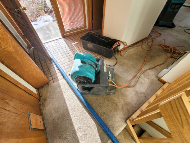 Best Water damage contractors near me  in Millis Clicquot, MA