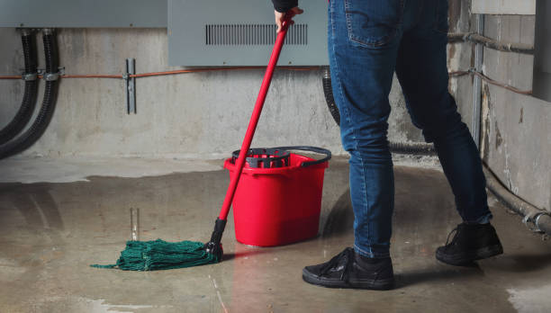 Best Sewage cleanup and water damage restoration  in Millis Clicquot, MA