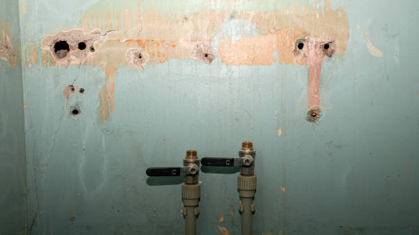 Best Mold removal after water damage  in Millis Clicquot, MA